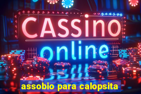 assobio para calopsita